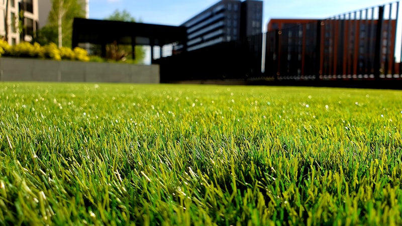 Gepflegte Grünflächen und Gartenbetreuung