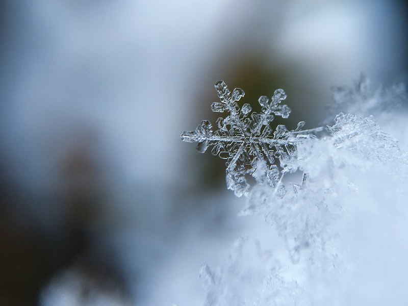 Winterdienst - Schneeräumung und Streudienst